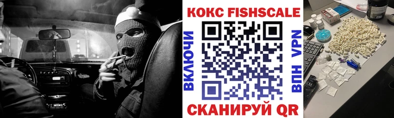 где купить   Камбарка  Кокаин FishScale 