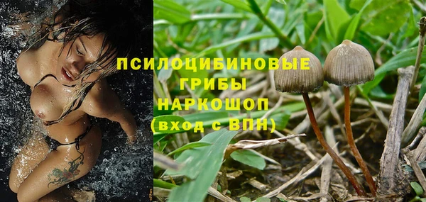 ECSTASY Алзамай