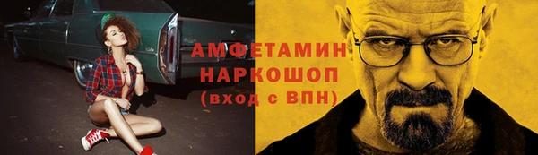 ECSTASY Алзамай