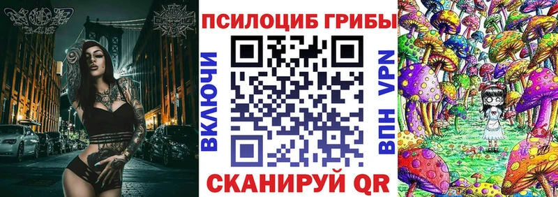 Галлюциногенные грибы Psilocybe блэк спрут зеркало Камбарка